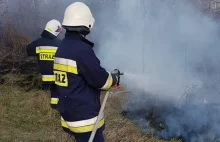 Strażak, który nie chciał ratować gejów i "tęsknił za Hitlerem" zwolniony