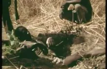 Łowcy anakond z Afryki