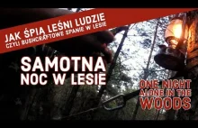 Samotna Bushcraftowa Noc w Lesie - One Night Alone In The Woods