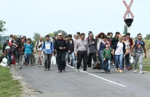 PiS załatwi jeszcze więcej imigrantów? Do Polski idzie nowa imigrantów