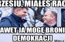 Komitet Ośmieszania Demokracji - w akcji - memy