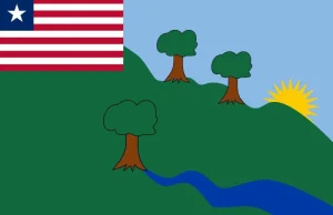 Flagi hrabstw Liberii stworzone w paincie.