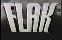 Flak Training for Pilots in WW...