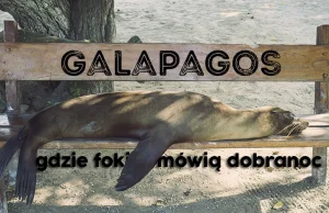 Galapagos - marzenie i raj na Ziemi :) + [GALERIA]