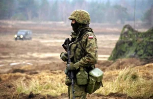 Liczebność członków organizacji paramilitarnych może dorównywać polskiej armii