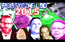 POLITYCZNE LSD 2015