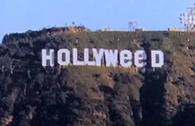 Welcome to Hollyweed