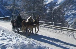 Wypadek bryczki na Podhalu. Dziecko trafiło do szpitala