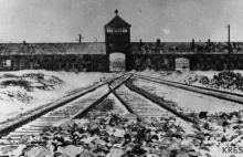 PO boi się określać obozy koncentracyjne "niemieckimi"!