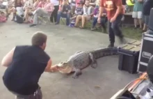 Pokaz sztuk walki z krokodylem