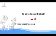 Angielskie idiomy. "To be fed up with sb or sth"