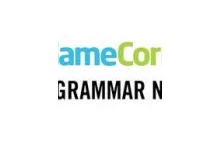 Co łączy Gamecornera oraz Grammar nazi?