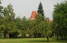 Czym czeski park różni się od polskiego?