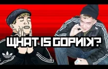 What is Gopnik?