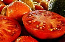 Make Tomatoes Great Again – GMO przywróci smak pomidorów