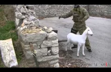 Isis Hunting Video; Improvised Explosive GOAT decoy