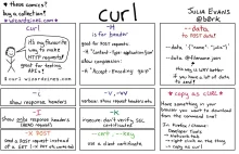 curl exercises - Julia Evans