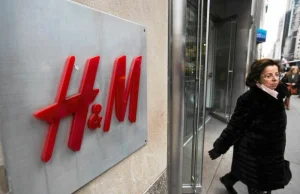 H&M rezygnuje ze swetrów z angory. Powód? Maltretowanie zwierząt