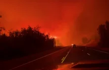 Ściana ognia przy szosie- pożary lasów na Alasce.