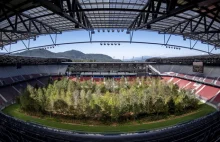 Stadion piłkarski zamieniony w las. Niezwykły happening w Austrii