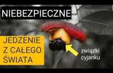 Jedzenie, które może cię zabić! (śmiercionośne potrawy z całego świata)