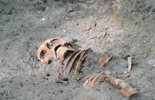 Na Westerplatte znaleziono kolejne ludzkie szczątki