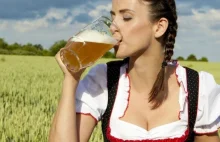 Najpowszechniejsze i najdurniejsze polskie mity na temat piwa.