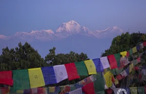 Annapurna Base Camp & Poon Hill - trekking w Himalajach
