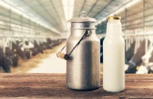 Mleko krowie może w przyszłości zastąpić antybiotyki