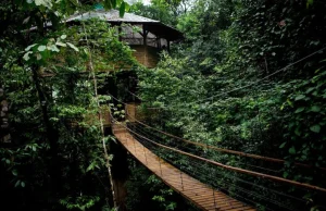 Społeczność z domu na drzewie (Costa Rica)