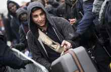 Likwidacja obozu pod Calais. Ewakuowano już 2318 migrantów