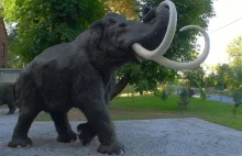 Kuriozalny spór o pomnik mamuta w Radomiu z pieniędzy podatników