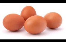 Które jaja są najzdrowsze klatkowe, ściółkowe czy ekologiczne?