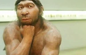 Neandertalczycy wymarli wcześniej, niż nam się wydaje.