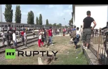 Imigranci robią zadymę na stacji Beli Monastir w Chorwacji.