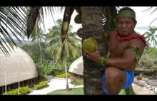 W jaki sposób wspiąć się na palmę kokosową EN