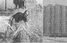 Bułgarska kolonia i bloki na polach kapusty. Historia poznańskich Rataj