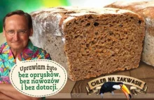 Wojciech Cejrowski sprzedaje chleby z własnego żyta