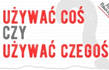 Używasz coś czy czegoś? Kilka słów o wymaganiach czasownika używać