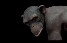 CGI VFX Breakdowns HD: "Developing a 100% CGI Chimp for "98% Human" - by...