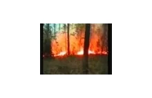 Pożar lasu koło Kuźni Raciborskiej w 1992 - Cały reportaż VHS (Klimatyczny)