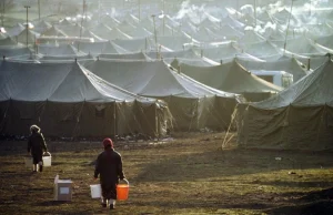 Państwo Islamskie ma filię na Kaukazie. Zagrożenie dla Polski?