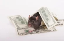 Escobar tracił rocznie 2,1 mld USD przez szczury