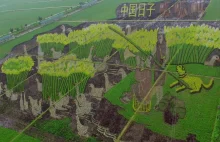 Sztuka 3D na chińskich polach ryżowych. Zobacz niezwykłe zdjęcia - zdjęcie