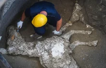 Ciało konia w idealnym stanie odnalezione w Pompejach.