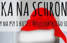 na Wrocławskie Schronisko!