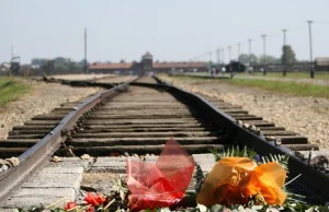 IPN wciąż zwleka z pozwem ws. słów o walce Żydów z "polskim reżimem"