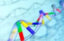 Nowa metoda wizualizacji syntezy DNA
