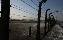 Ponad połowa Niemców w wieku 14-16 lat nic nie wie o Auschwitz