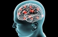 10 największych mitów na temat mózgu. Czas je obalić